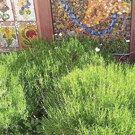 Tatil Evi Mozaikhuis De Haan