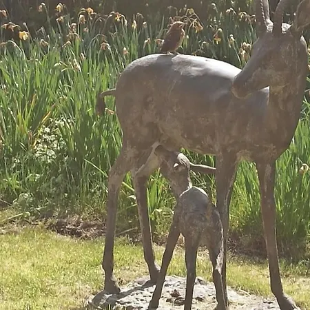 Mozaikhuis Tatil Evi De Haan